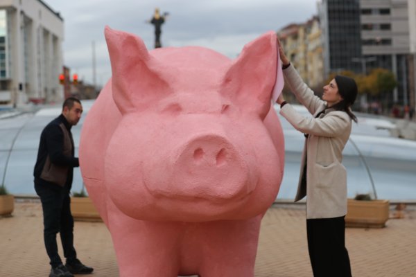 Снимка: Димитър Кьосемарлиев, Bulgaria ON AIR
